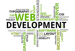 WEB DEVELOPMENT